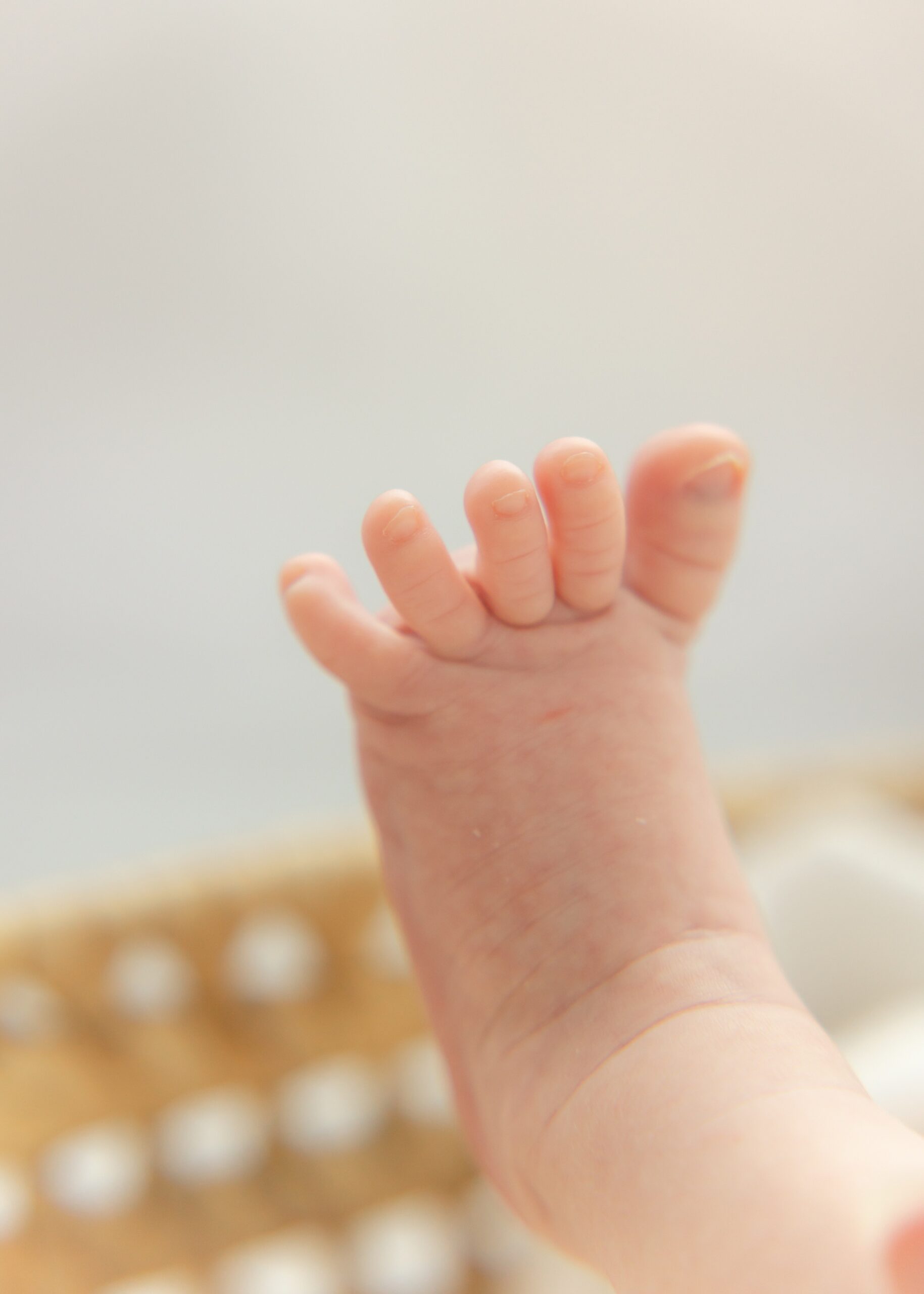 Details of a newborn baby's foot lifted up and toes stretched