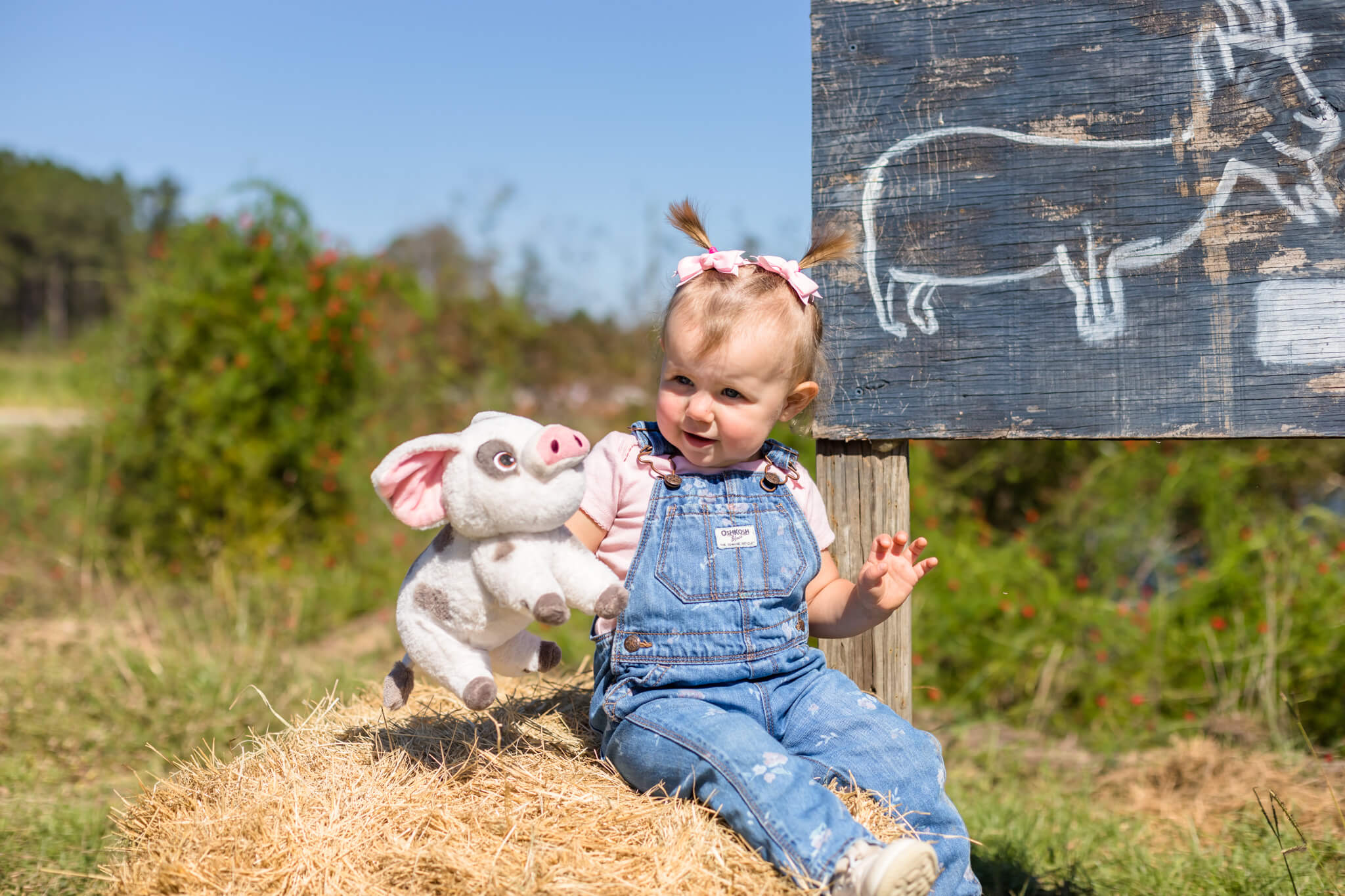 Little girl in overalls sitting on a pile of hay at a pumpkin patch near savannah, ga